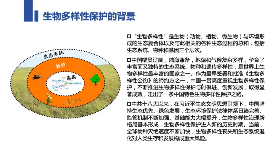 生物多样性保护与评估对乡村振兴的意义