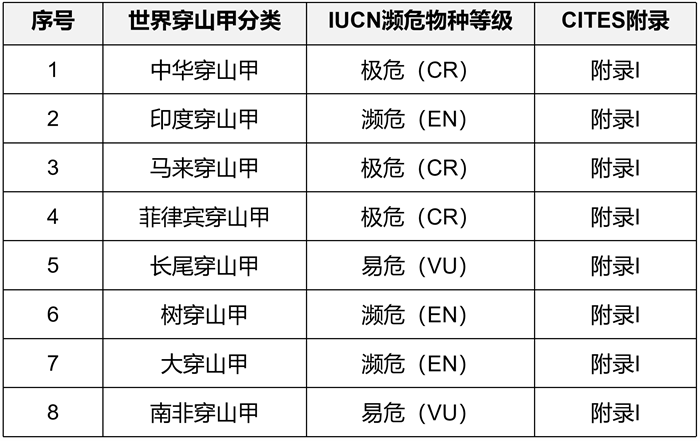 青远生态