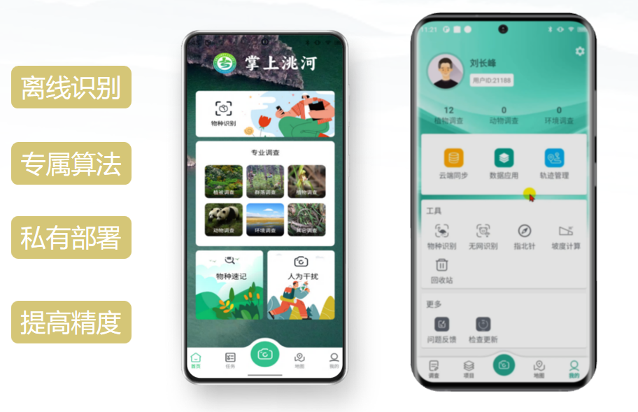 甘肃洮河自然保护区植物离线识别模型构建