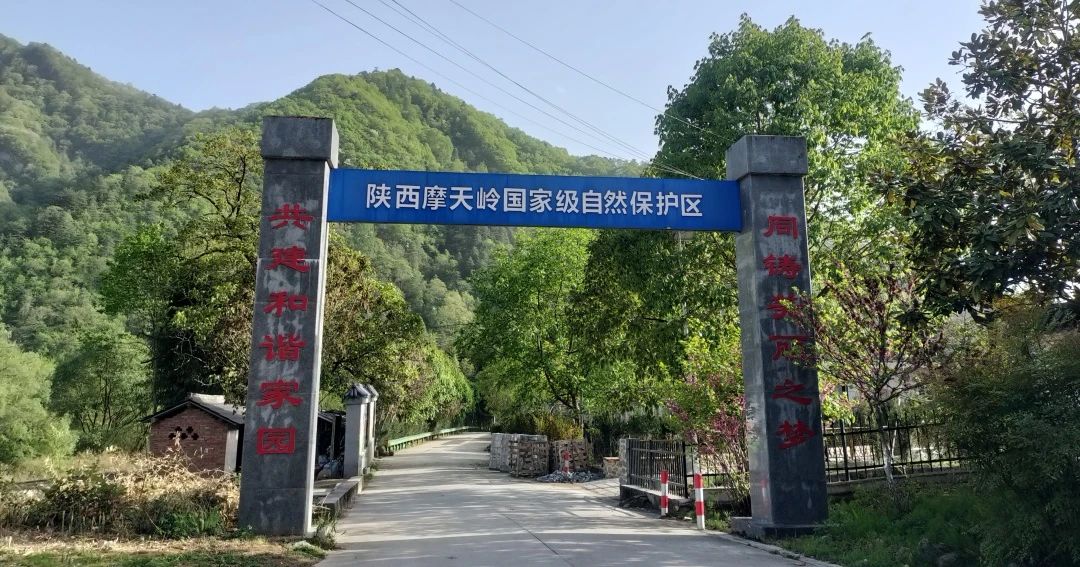 陕西摩天岭国家级自然保护区开展北极花生物调查软件使用培训