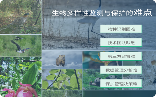 生物多样性智能监测