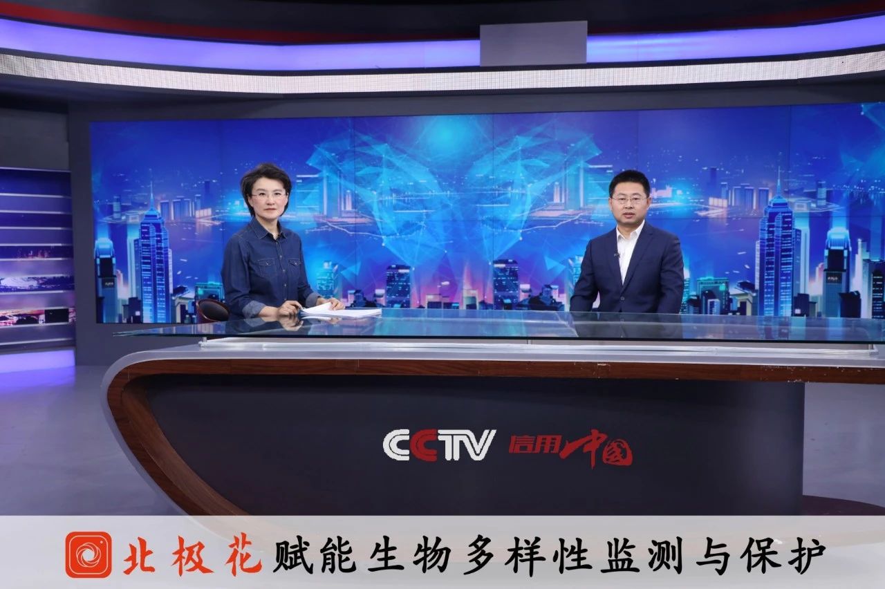 招聘 | 数智赋能生态保护，美丽中国需要你我