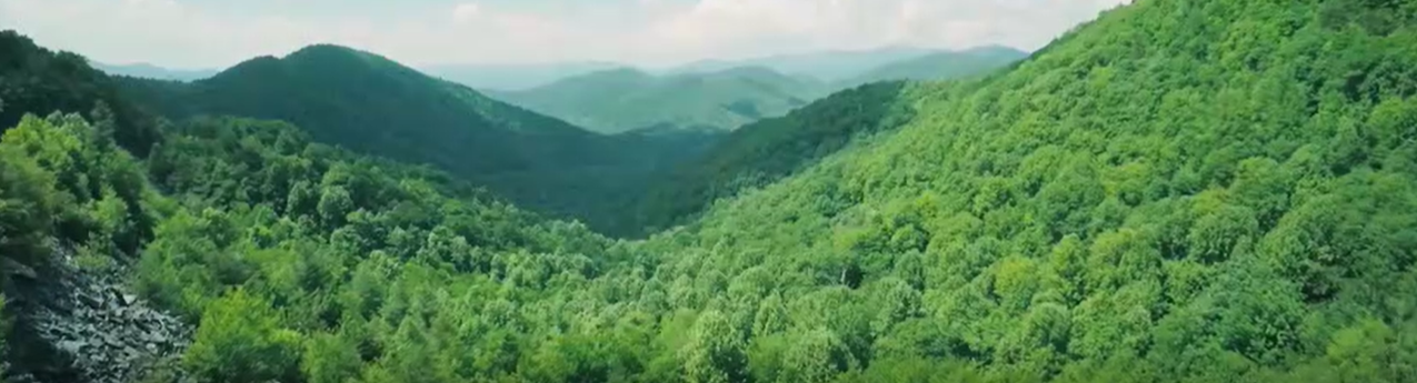 自然保护地智慧化时代的到来