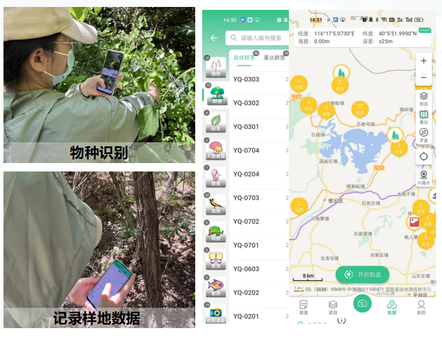 密云区高等植物调查