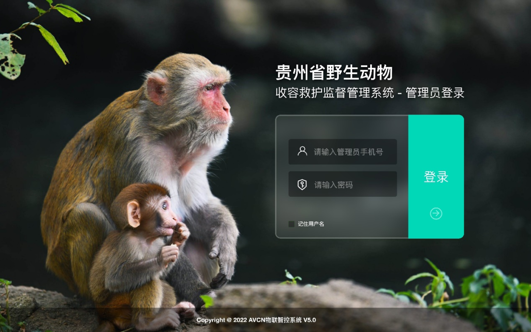 野生动物收容救护监管平台实现了及时救助、全程追踪、成效统计等功能