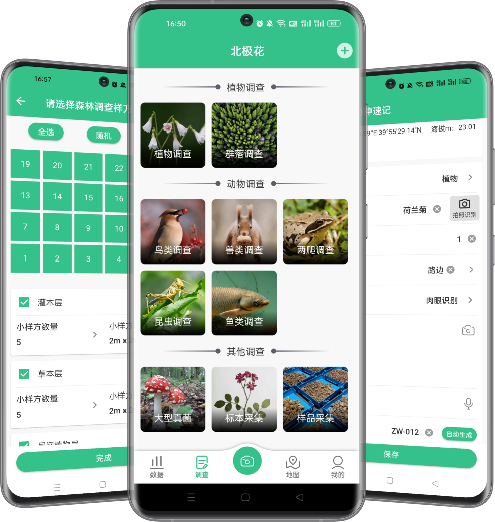 北极花APP助力百花山重点保护植物调查项目顺利通过验收
