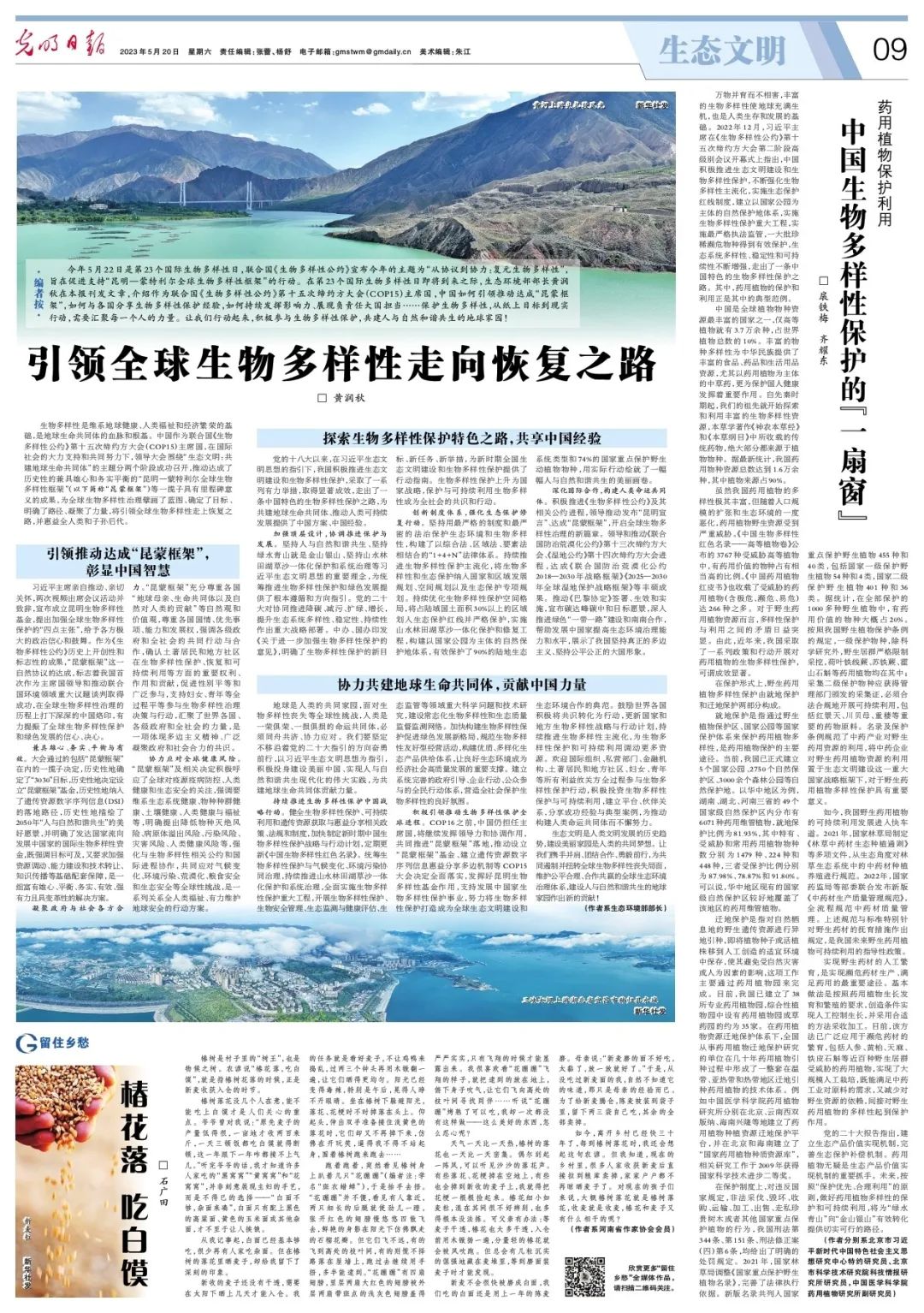 引领全球生物多样性走向恢复之路