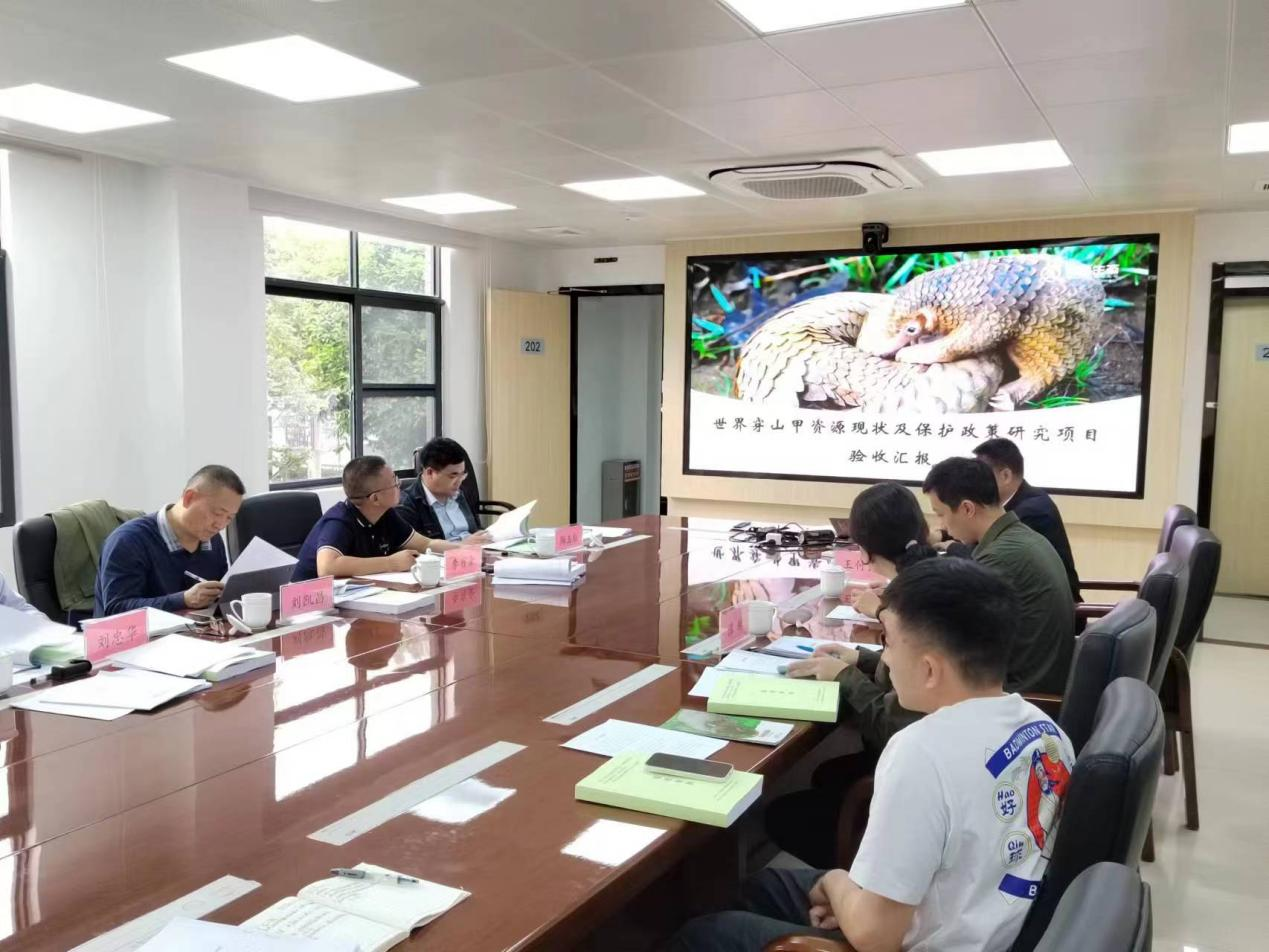 喜讯|青远生态承担的穿山甲研究项目取得丰硕成果
