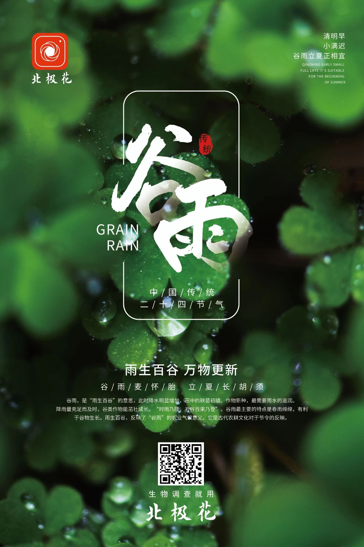 节气·谷雨|雨生百谷 万物更新