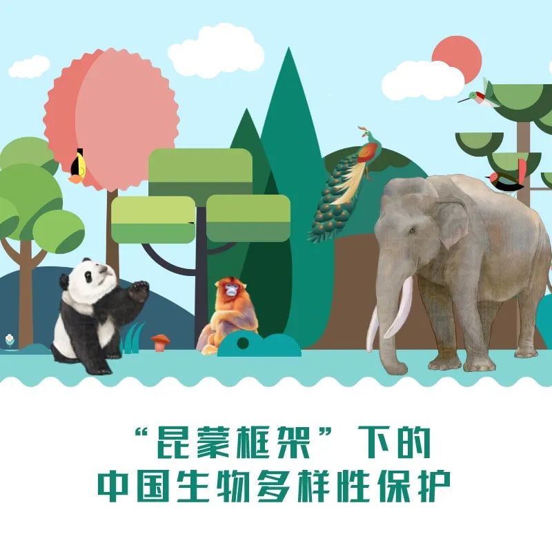 “昆蒙框架”下的中国生物多样性保护